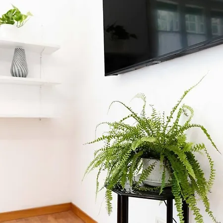 Tatil Evi Domus Boito Roma